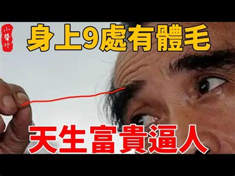 膝蓋毛|【膝蓋有毛】膝邊長毛，財富滿盈！富貴命徵兆，不容錯過！ – 葛。